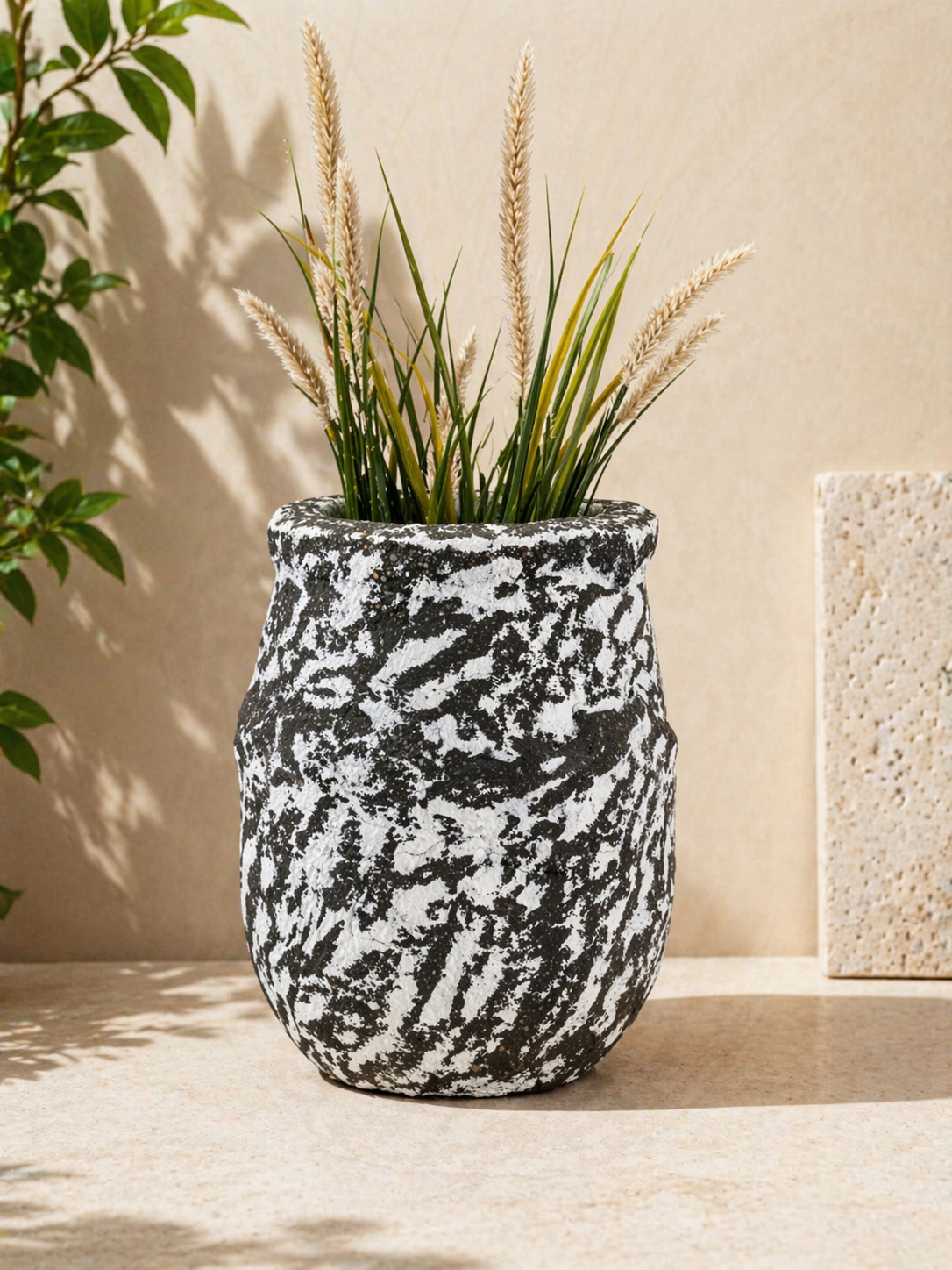 Stone Whisper Plant