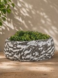 Rustic Textured Planter