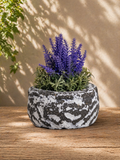 Rustic Mini Planter