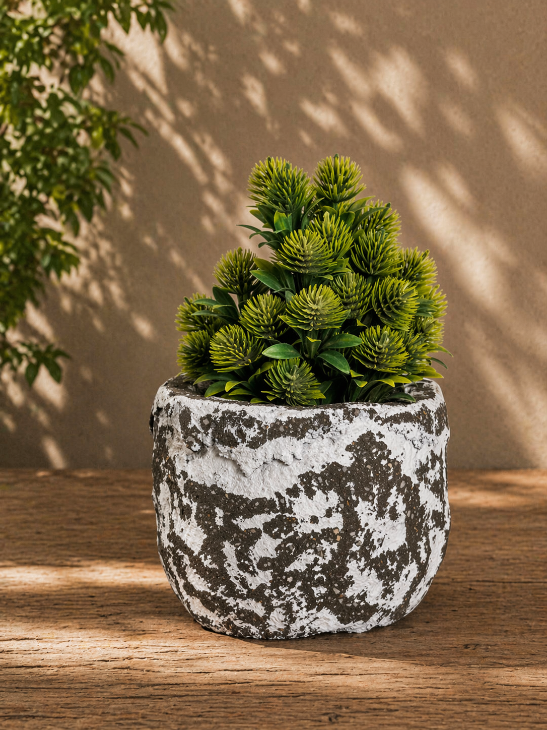 Rustic Textured Plante