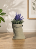 Sack Planter