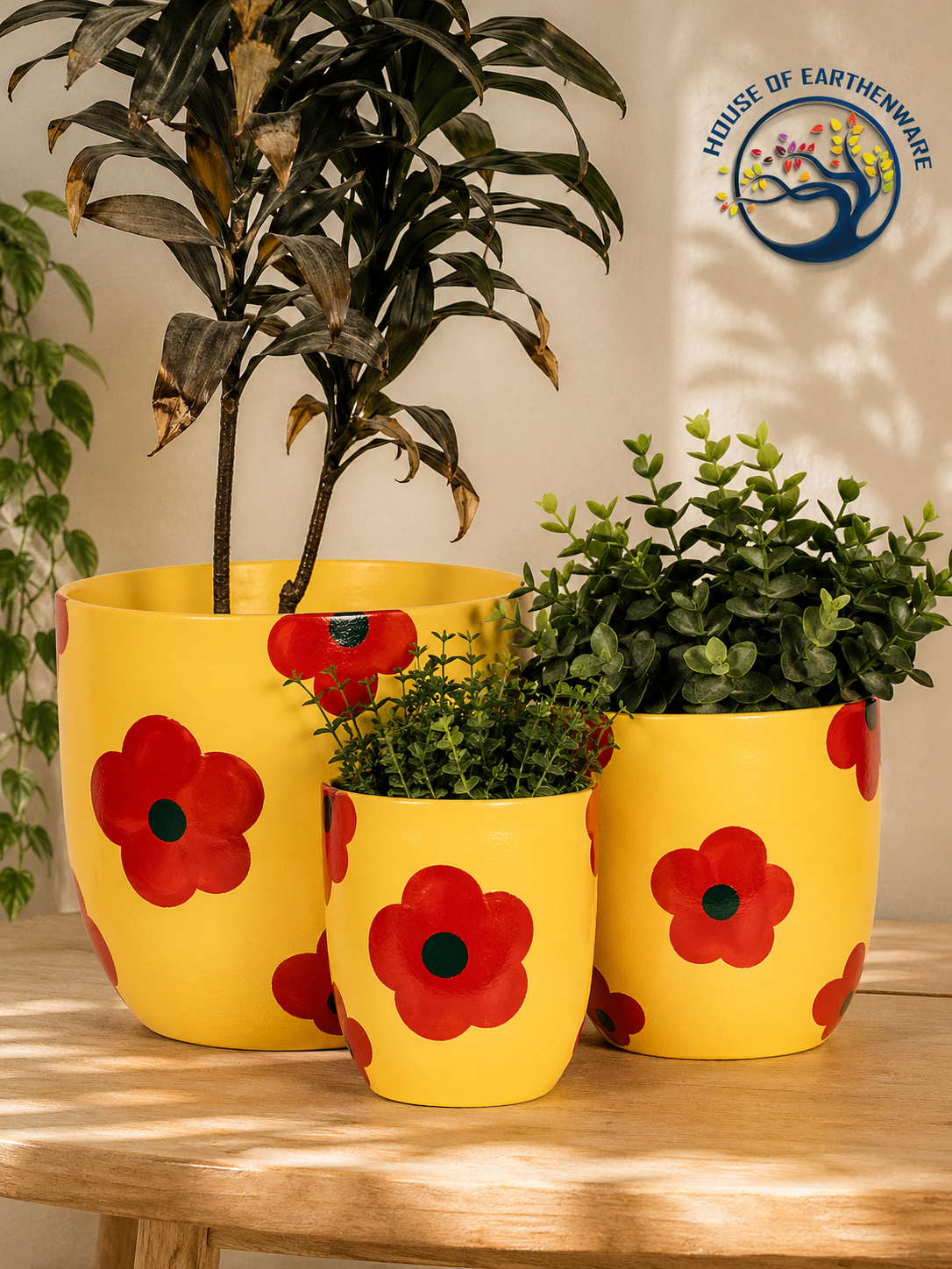Vibrant Handcrafted Ceramic Planter Set (Set of 3)