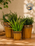 Glazed Ceramic Planter Set (Set of 3)