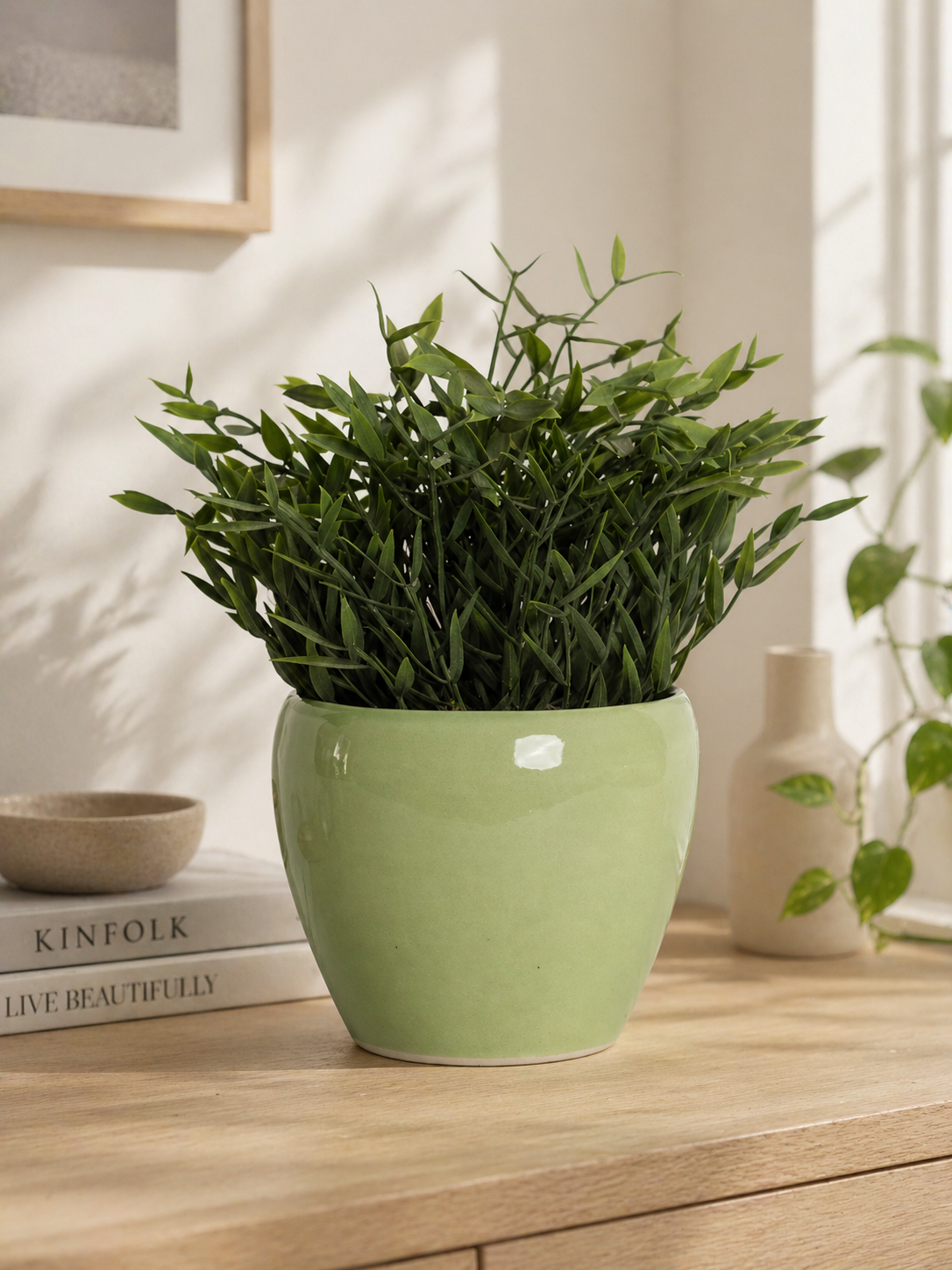 Indoor Planter