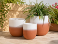 Ombre Ceramic Planter Set (Set of 3)