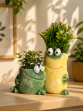 Cute Frog Resin Planter – Mini Desk Décor