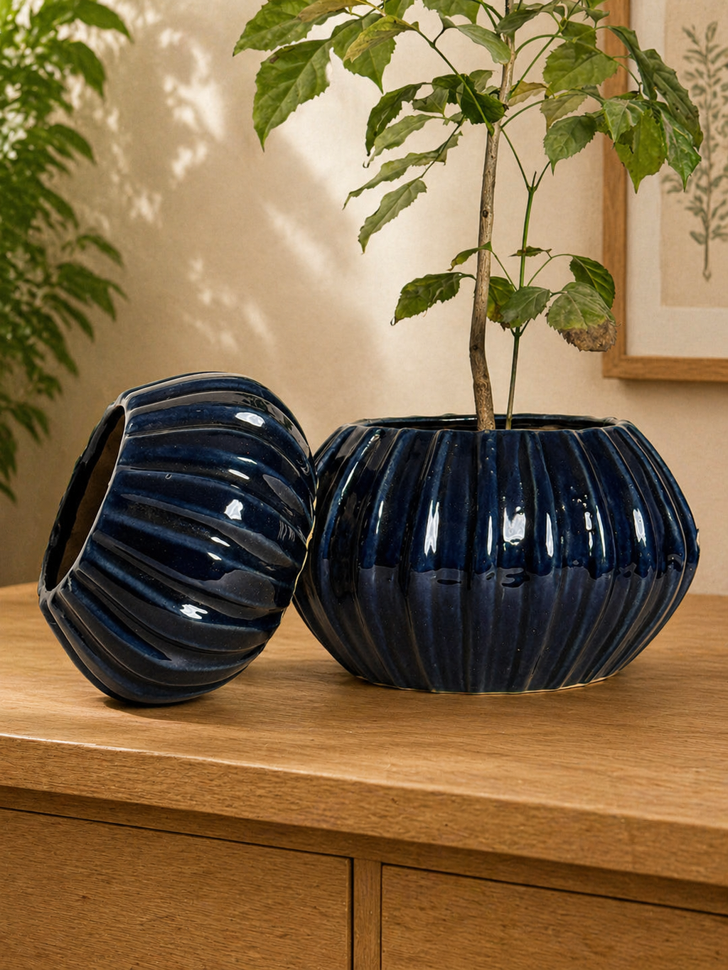 Ceramic Planter Set (Big & Small)