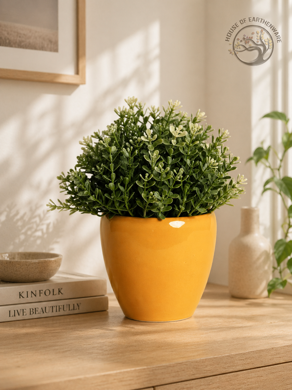 Indoor Planter