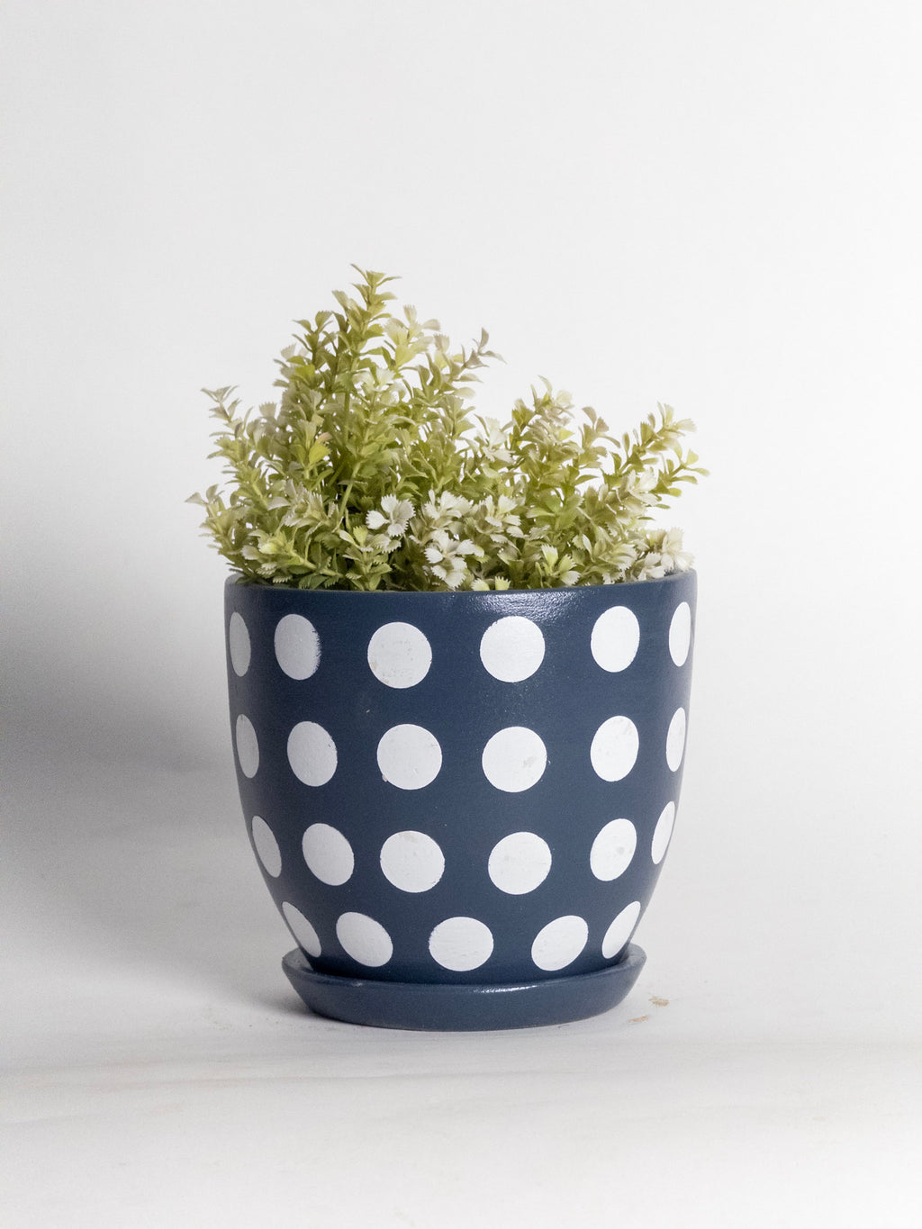 Polka Dot Ceramic Planter