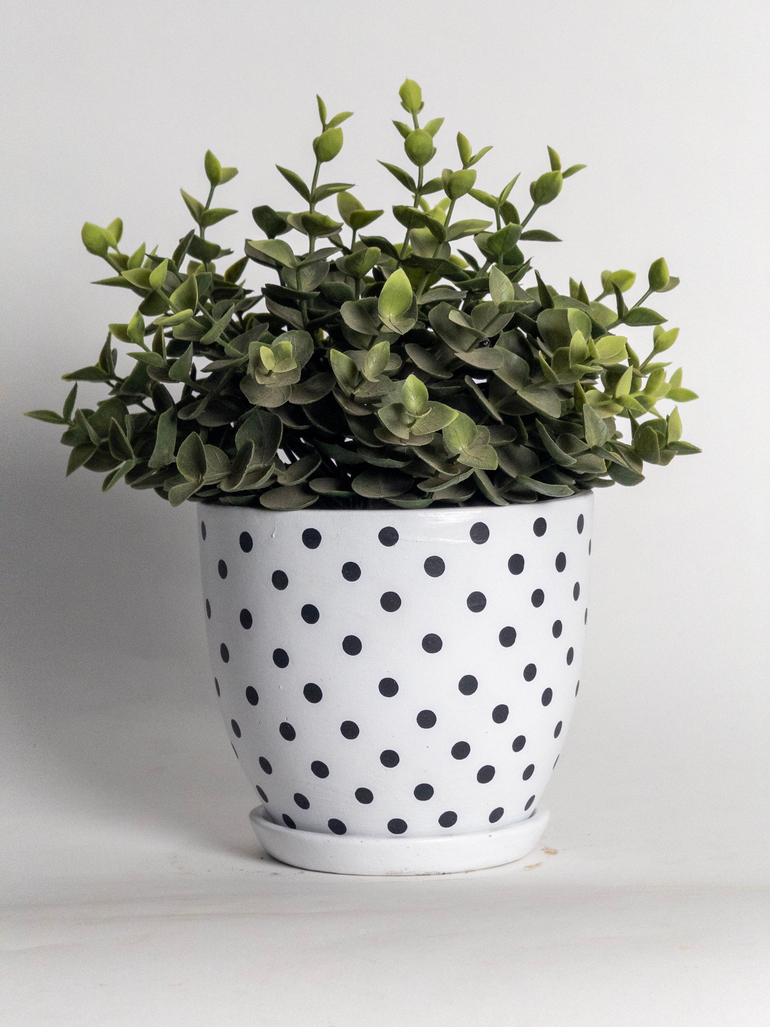 Polka Dot Ceramic Planter